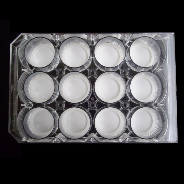 TECL003 Mimetix 12-well plate with removable scaffold discs