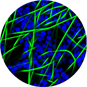 8-3dimaging-big