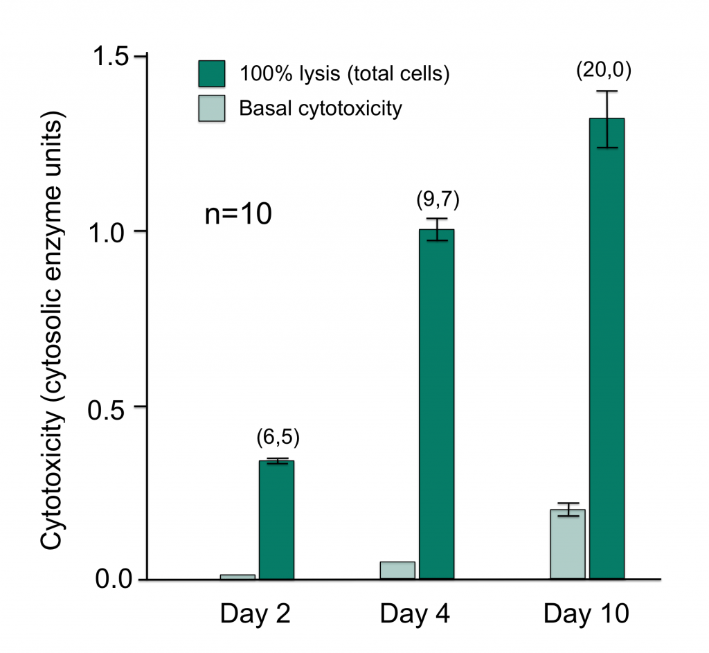 Oncology-flyer-Cell-proliferation