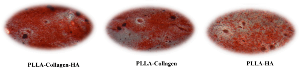 Regen-Med-Dr-Balajis-paper-ARS-staining-1024x244