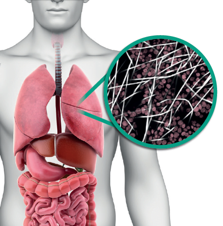 regenerative-medicine