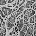 Nano and Micro fibres
