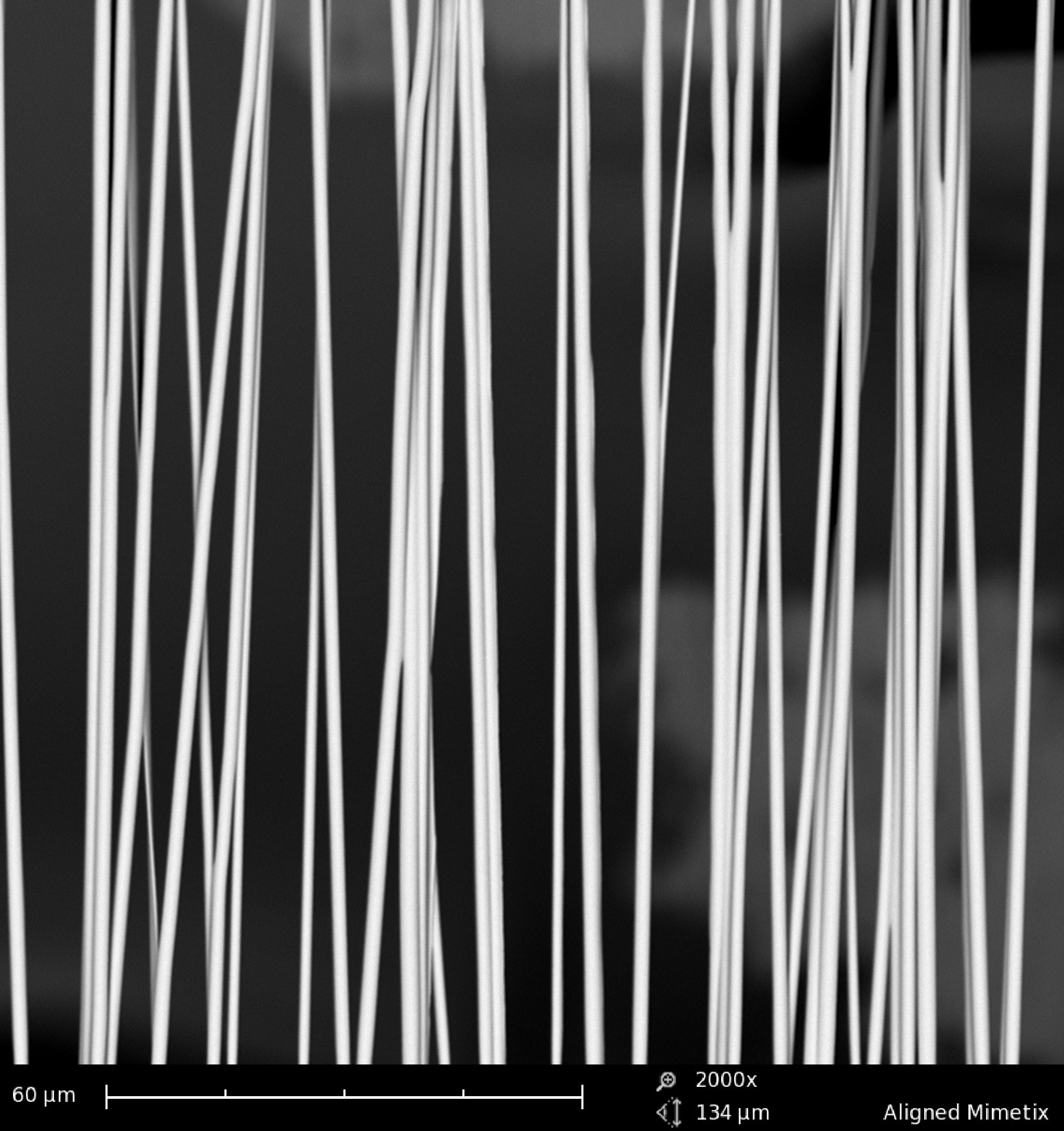 Aligned Mimetix0009