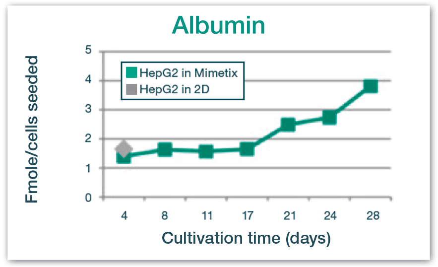 Albumin