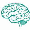 brain brain