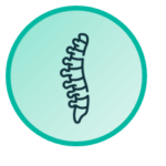 Orthopaedic