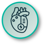 Structural Heart