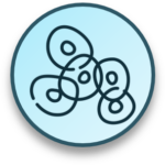 Cells V1