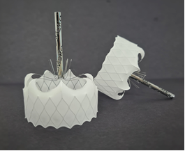 implant covers 02
